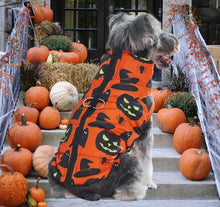 Load image into Gallery viewer, Halloween Dog Jacket Coat