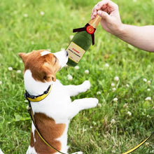 Load image into Gallery viewer, Champagne Plush Dog Toys