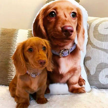 Load image into Gallery viewer, Your Dog - 3D Pillow