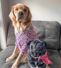 Load image into Gallery viewer, Dog Hoodie Cheetah Print