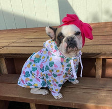 Load image into Gallery viewer, Flock Star Flamingo Print Dog Hoodie