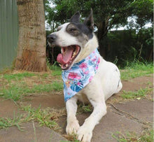 Load image into Gallery viewer, Dog Bandana - Hawaiian Paradise