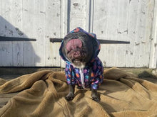 Load image into Gallery viewer, Matching Dog and owner