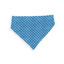Load image into Gallery viewer, Face Mask and Dog Bandana - Blue Polka Dots