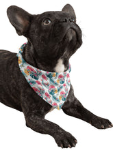 Load image into Gallery viewer, Matching Dog and Owner Shirts