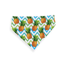 Load image into Gallery viewer, Matching Face Mask and Dog Bandana - Pineapples in Summer
