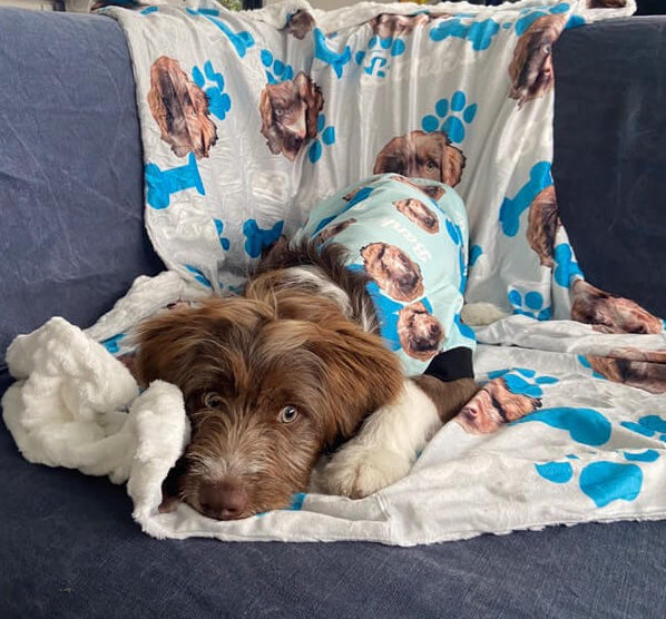 Your Dog Personalised Dog Blanket