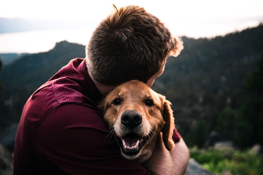 20 of the Best Gifts for Dog Dads