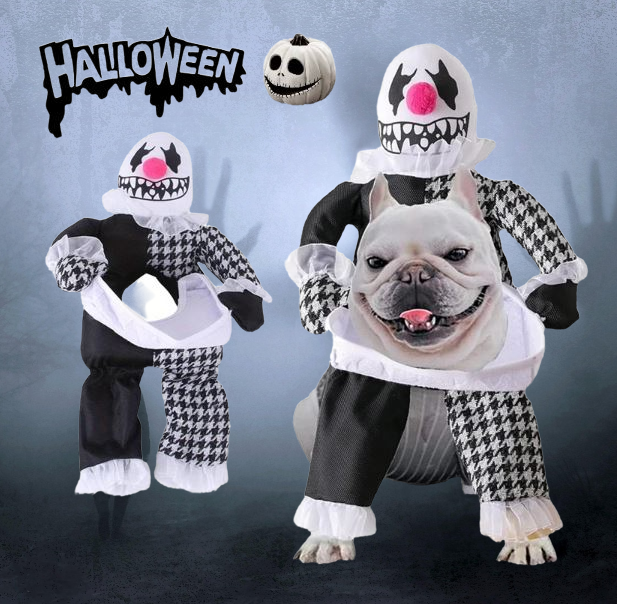 Creepy Clown Outfit for Pets