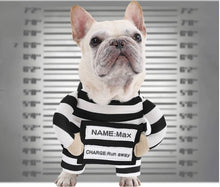 Load image into Gallery viewer, Prisoner Dog
