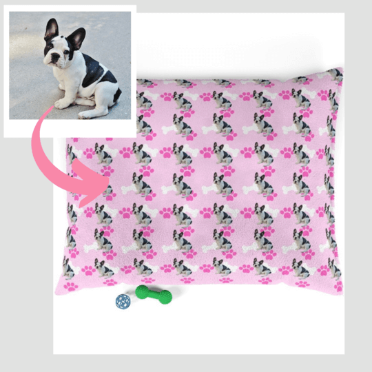 Gifts for Dogs