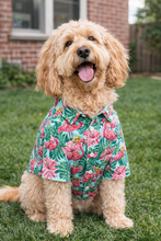 Load image into Gallery viewer, Matching Dog and Owner Shirts - Flamingos in Paradise
