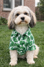 Load image into Gallery viewer, Matching Dog and Owner Shirts | Tropic Like it's Hot
