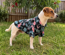 Load image into Gallery viewer, Matching Dog and Owner Shirts – Island Nights
