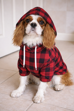 Load image into Gallery viewer, Matching Dog and Owner Hoodie: Red Plaid
