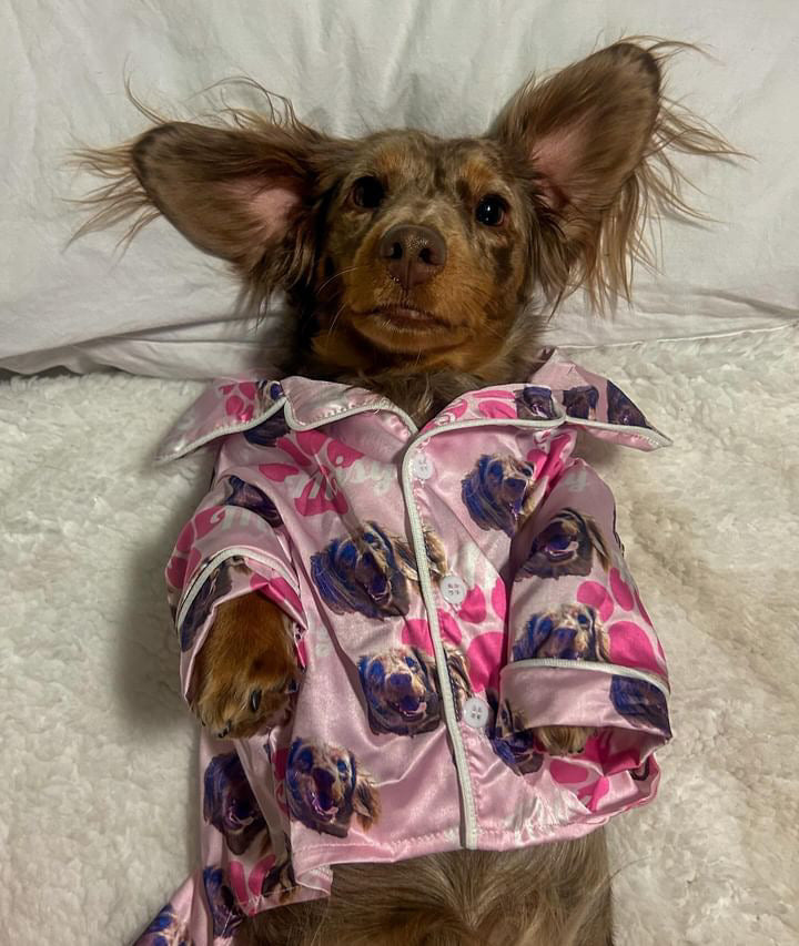 Personalised Dog Pyjamas