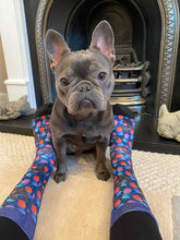 Load image into Gallery viewer, Your Dog Face Socks | Purple Pineapple Pawty
