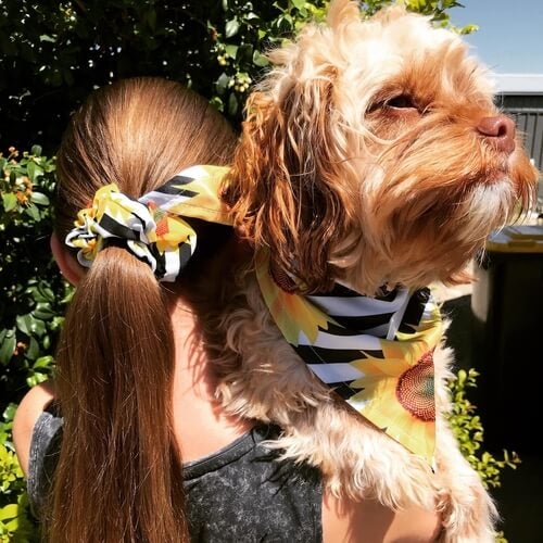 Matching Scrunchie and Bandana - Sunflowers