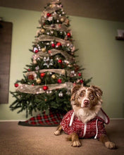 Load image into Gallery viewer, Matching Dog and Owner Christmas Sweater
