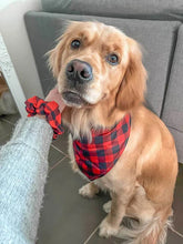 Load image into Gallery viewer, Matching Scrunchie and Bandana - Red Plaid
