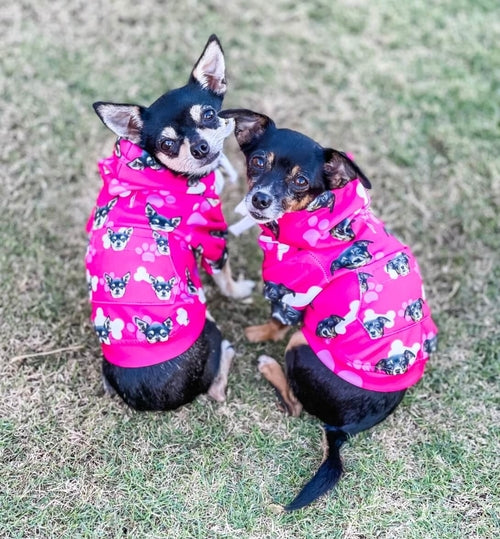 Clothes with your dogs on sale face