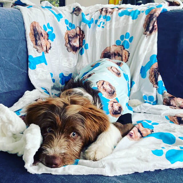 Personalised Dog Pyjamas