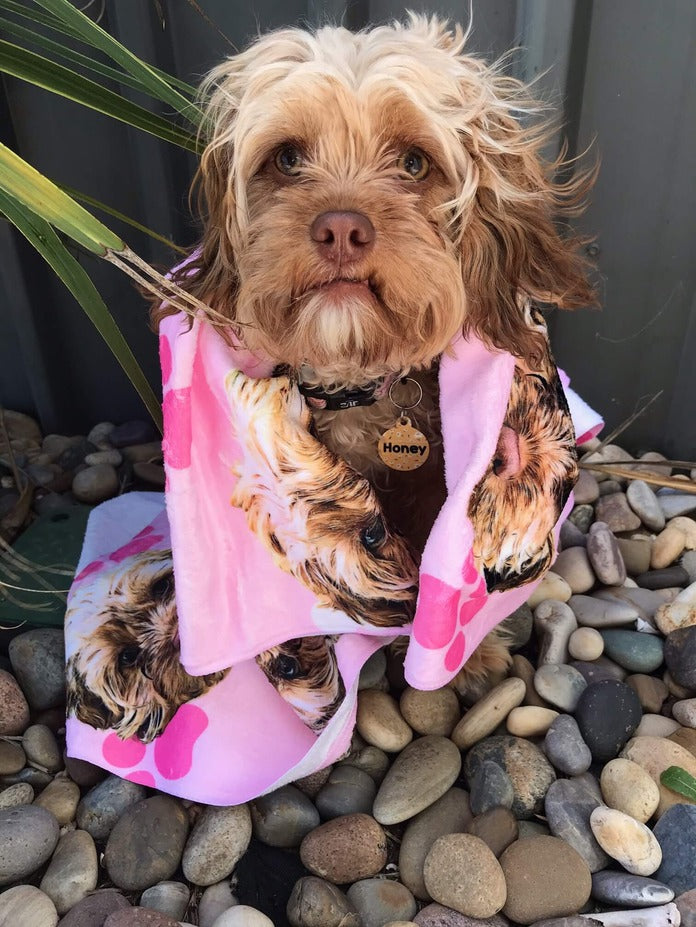 Your Dog Personalised Dog Towel - Main Image